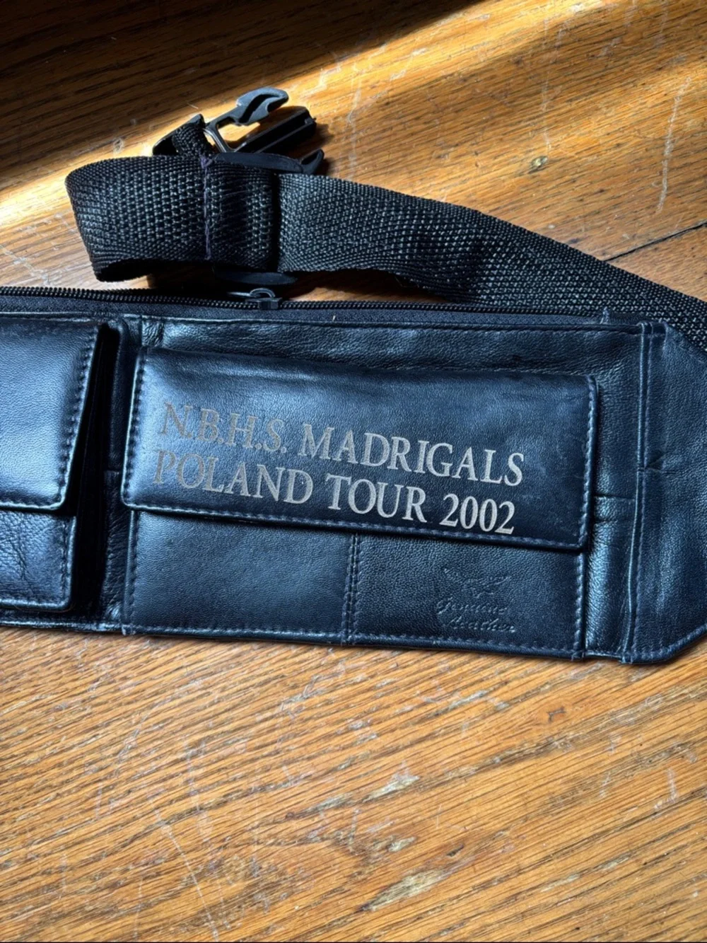 Y2K Era Money Belt